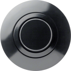 2.00.11 Rotary Switch by BRETER
